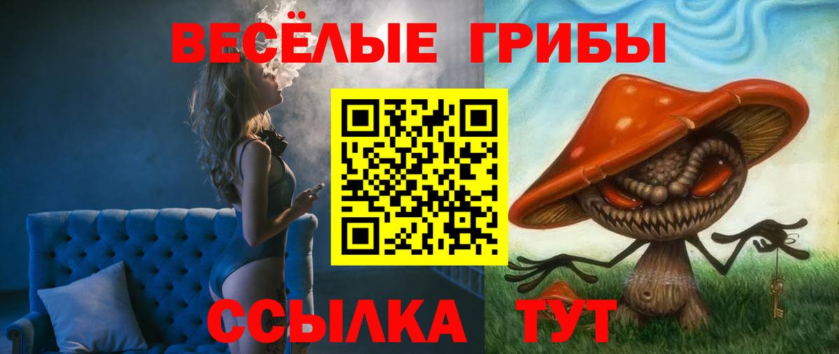 Галлюциногенные грибы прущие грибы  Вход с VPN  Орёл 